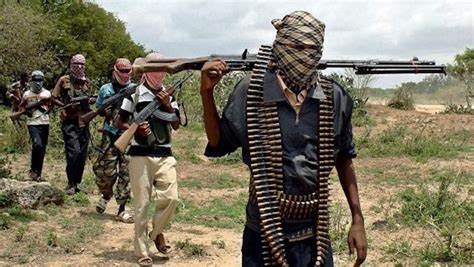 Bandits Kill Dozens Of Vigilantes In Niger